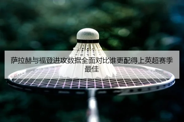 sa-la-he-yu-fu-deng-jin-gong-shu-ju-quan-mian-dui-bi-shui-geng-pei-de-shang-ying-chao-sai-ji-zui-jia-2-442.jpg