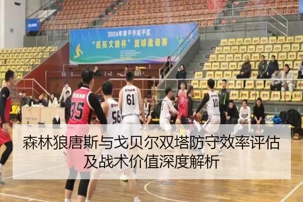 森林狼唐斯与戈贝尔双塔防守效率评估及战术价值深度解析