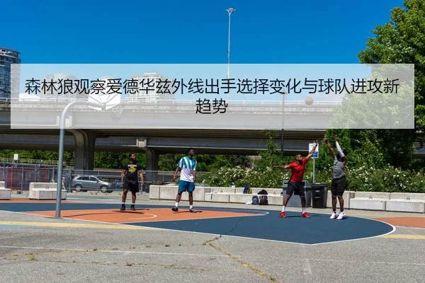 森林狼观察爱德华兹外线出手选择变化与球队进攻新趋势