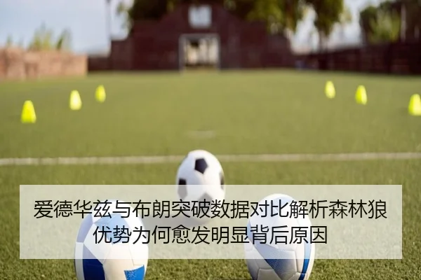 爱德华兹与布朗突破数据对比解析森林狼优势为何愈发明显背后原因